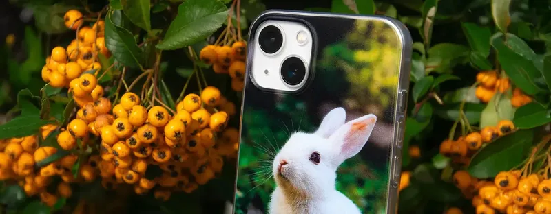 Fundas blandas